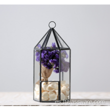 Terrario cuadrado de la flor del florero de cristal transparente de la planta